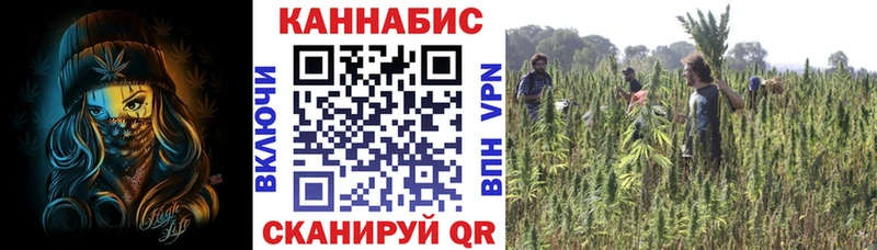 Магазин наркотиков Теберда Вейп ТГК  Канабис  Мефедрон  Бутират  Cocaine  A PVP  Гашиш  АМФ 