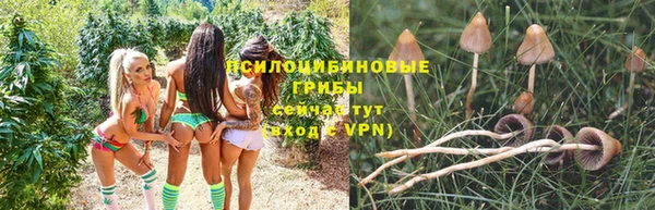 мяу мяу мука Кедровый