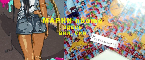 твердый Заводоуковск