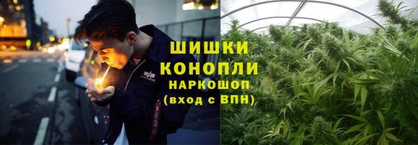твердый Заводоуковск