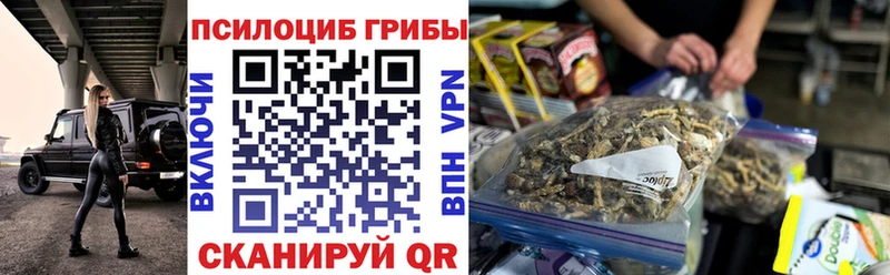 Псилоцибиновые грибы прущие грибы  Теберда 